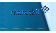 Metaskil presentation screenshot detail 
